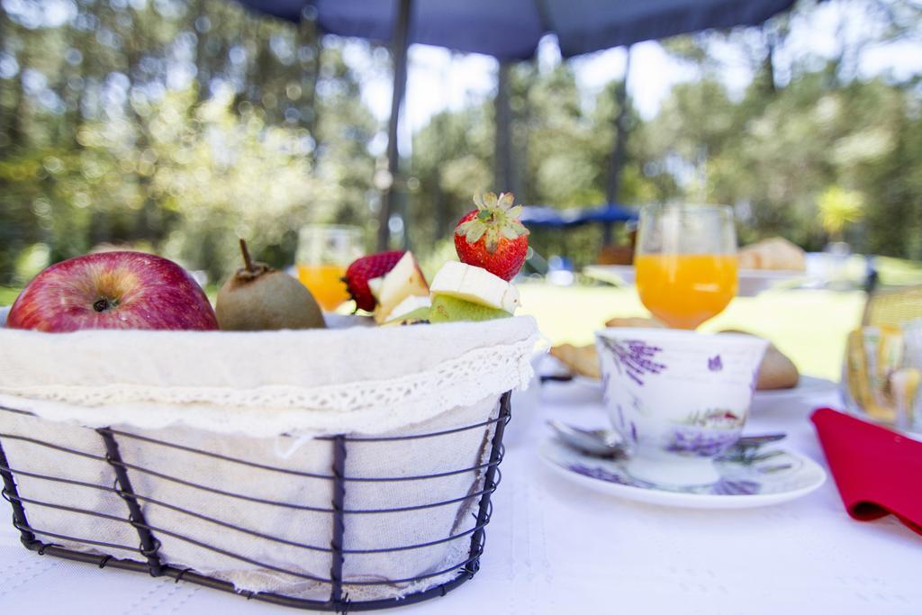 Neike Boutique Hotel Maldonado Dış mekan fotoğraf