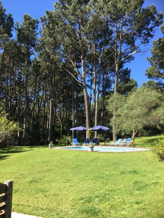 Neike Boutique Hotel Maldonado Dış mekan fotoğraf